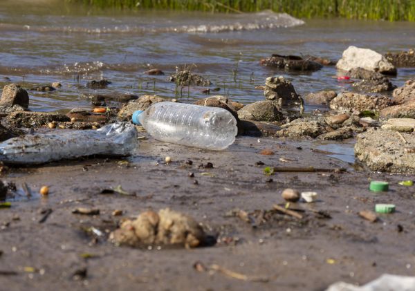 Brasil supera 160 mil denúncias de crimes ambientais entre 2023 e 2026