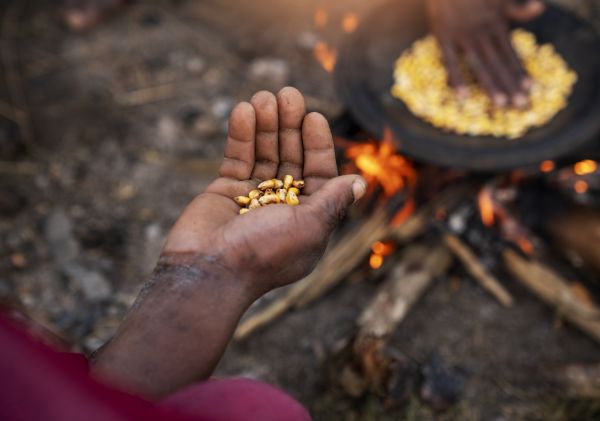  Brasil ainda tem cerca de 6,5 milhões de pessoas em situação de insegurança alimentar grave