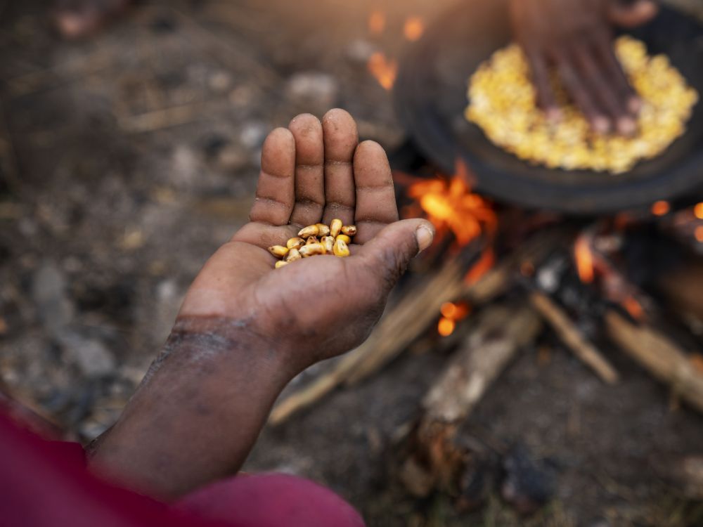  Brasil ainda tem cerca de 6,5 milhões de pessoas em situação de insegurança alimentar grave