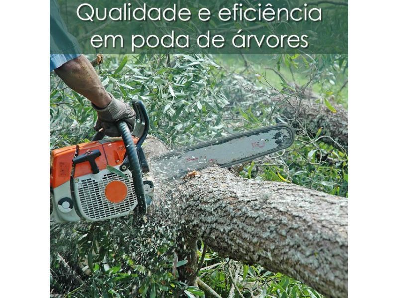 Corte e Poda  - Barra da Tijuca