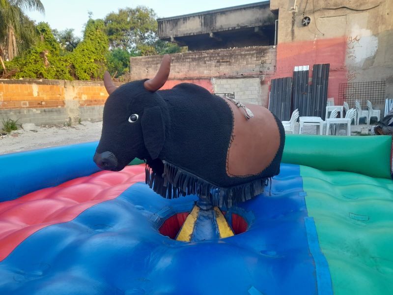 Zildy Brinky - Campo Grande