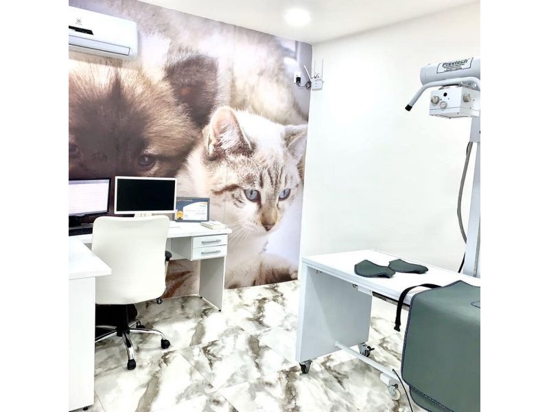 Clinica Veterinária Kairós - Piabetá