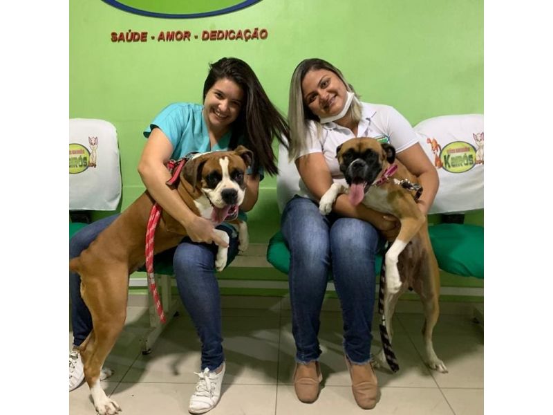Clinica Veterinária Kairós - Piabetá