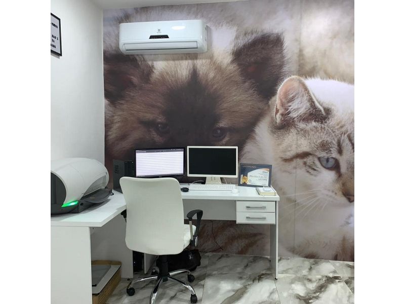 Clinica Veterinária Kairós - Duque de Caxias