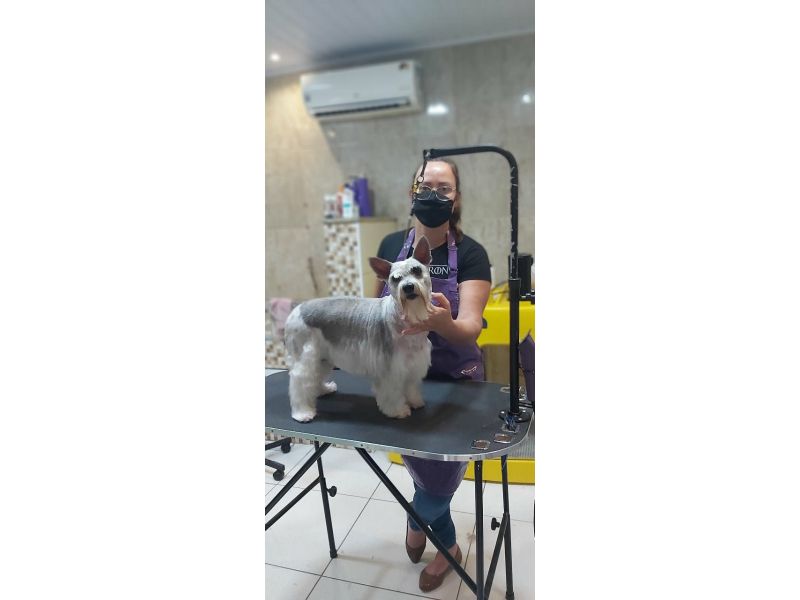 Pet Escola Fabi Pet Chic - Vila Ema