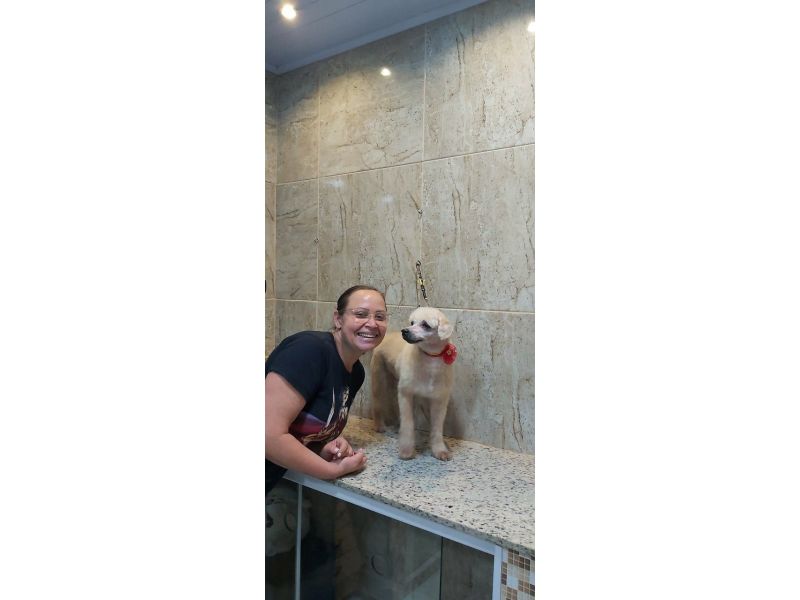 Pet Escola Fabi Pet Chic - Vila Ema