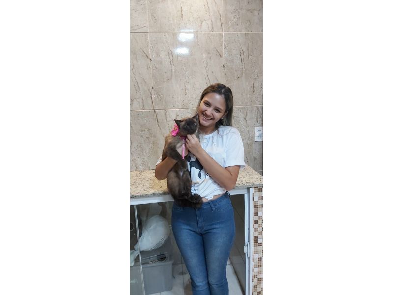 Pet Escola Fabi Pet Chic - Vila Ema