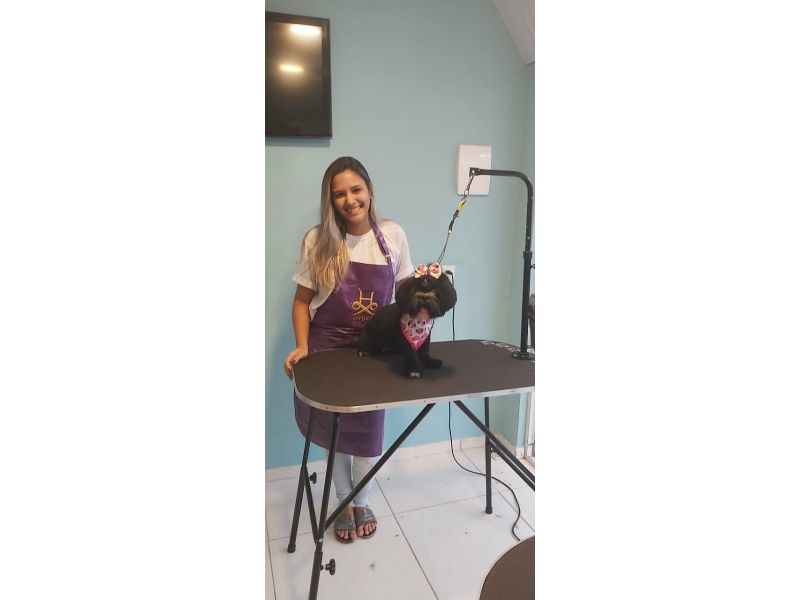 Pet Escola Fabi Pet Chic - Vila Ema