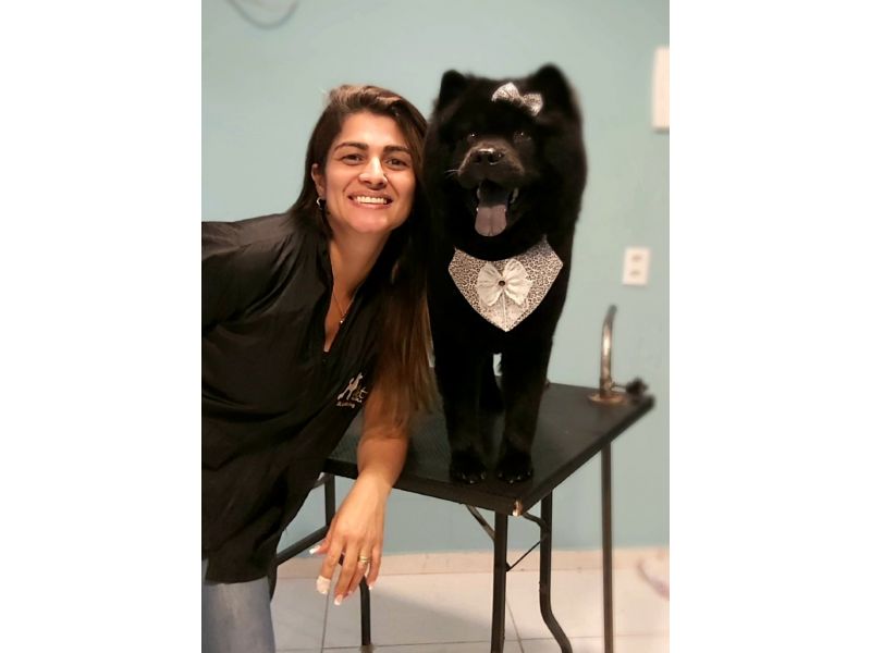 Pet Escola Fabi Pet Chic - Vila Ema