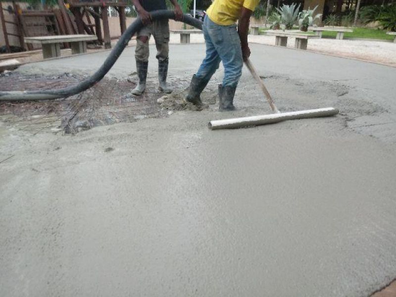 Rei do Concreto Polido - Paciência