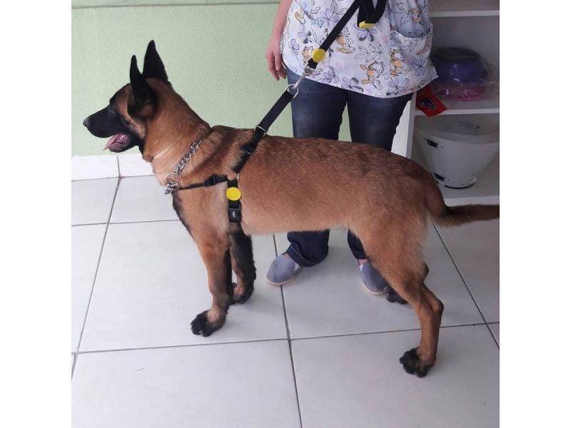 Kairós Farmácia Pet- Piabetá