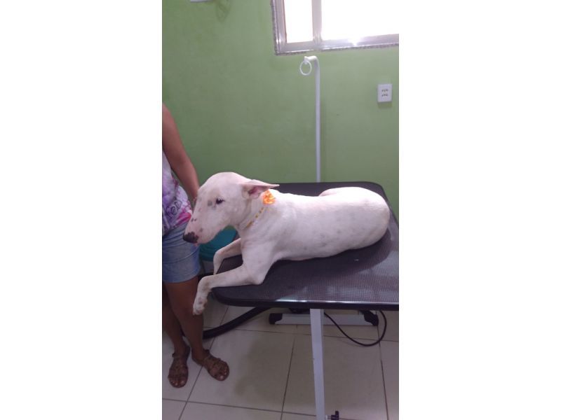 Kairós Farmácia Pet- Piabetá