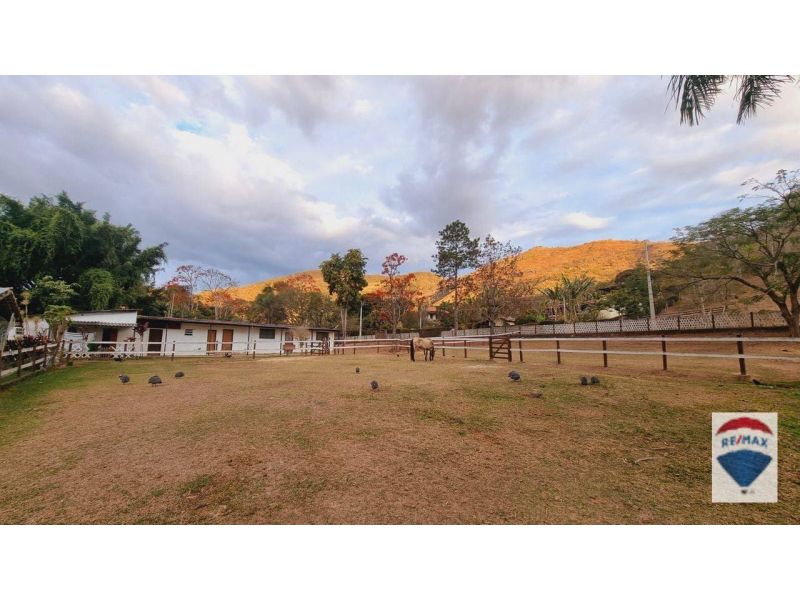 Haras à venda