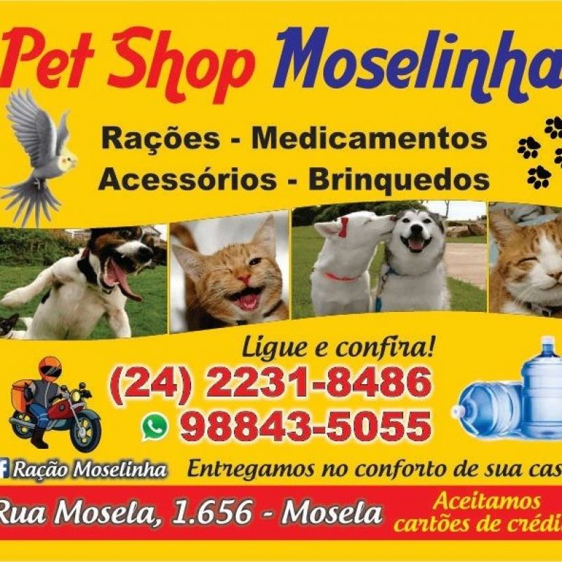 Pet Shop Moselinha - Cascatinha