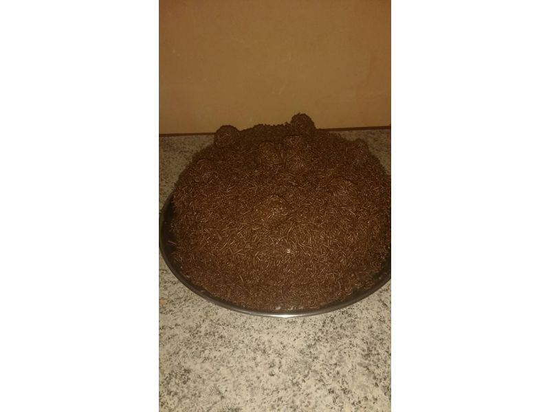 Delicias da Julia