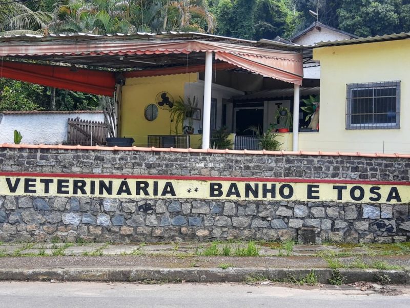 Tibe Clinica Veterinária - Campos Elíseos