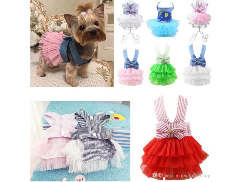 Tibé Moda Pet - Campos Elíseos
