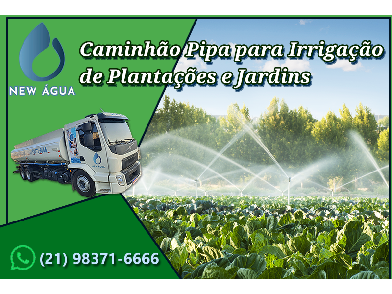 New Água - Piabetá