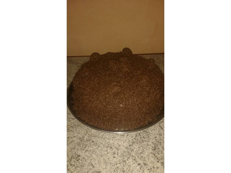 Delicias da Julia - Saracuruna