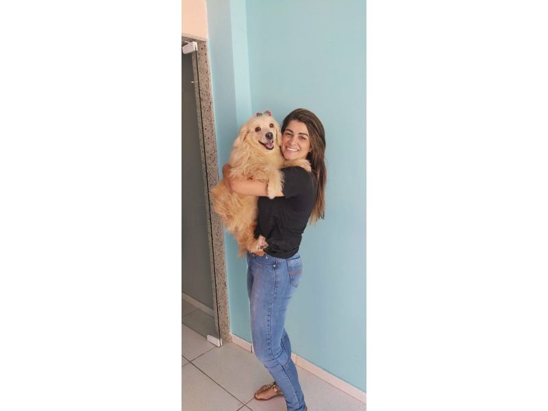 Pet Escola Fabi Pet Chic