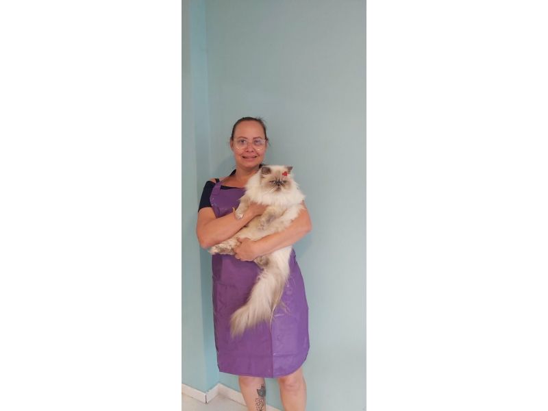 Pet Escola Fabi Pet Chic