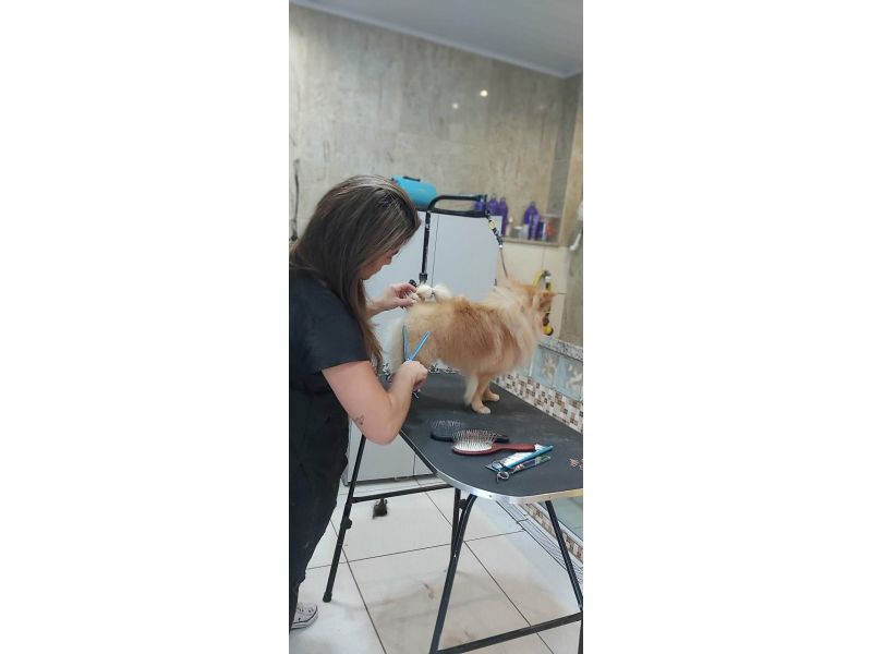 Pet Escola Fabi Pet Chic