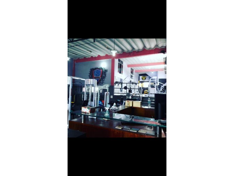 Academia Soaresteam
