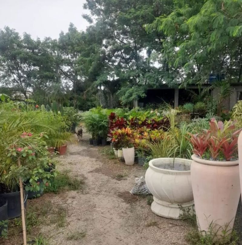 Horto Jolu - Campo Grande - RJ