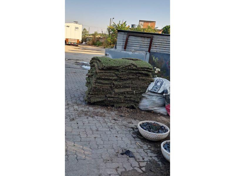 Horto Jolu - Campo Grande - RJ