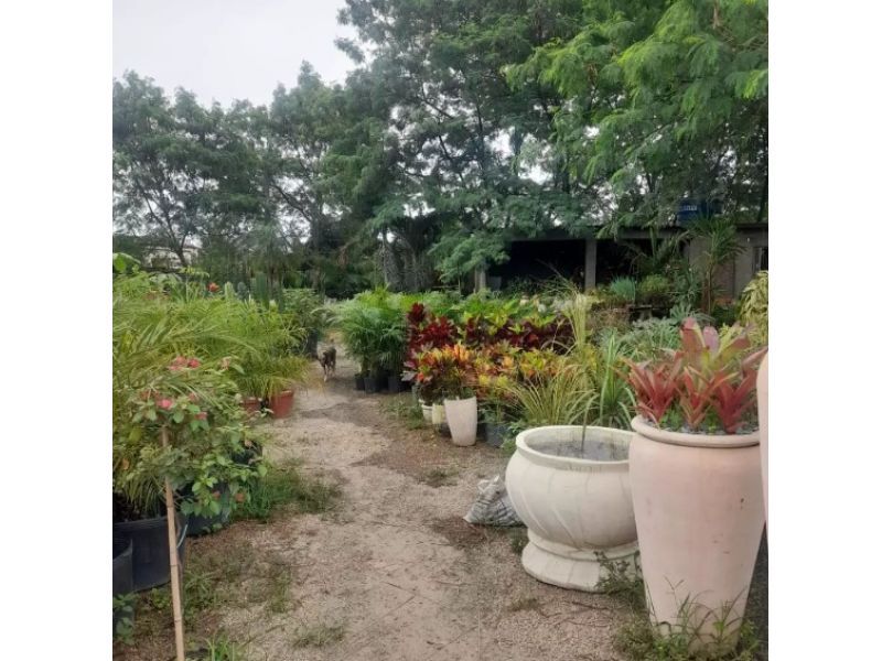 Horto Jolu - Campo Grande - RJ