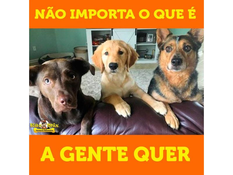 Kão Mix - Farmácia Veterinária