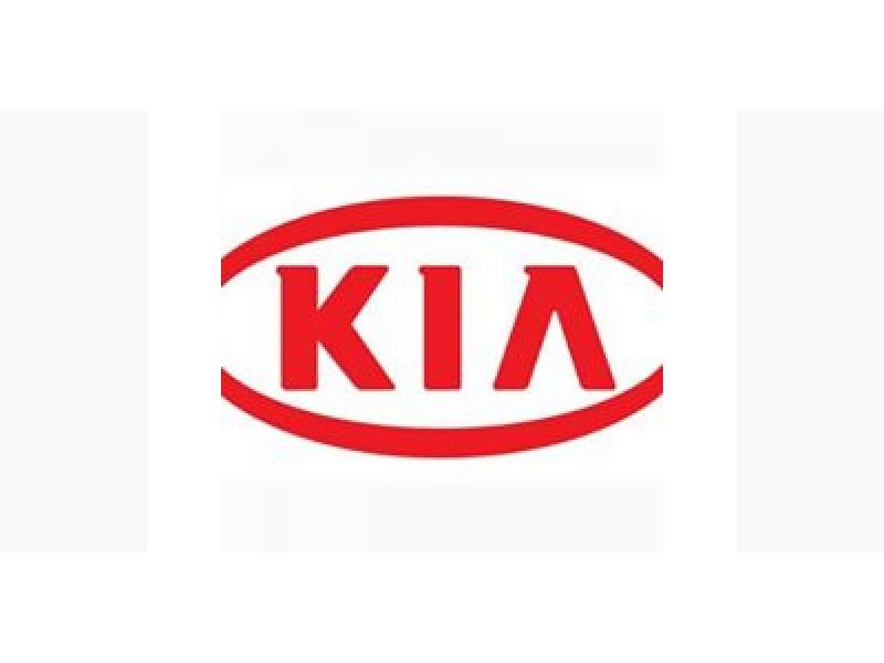 Nokinhos Auto Peças - Lote XV
