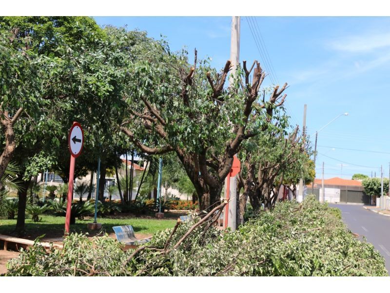 Corte e Poda  - Duque de Caxias